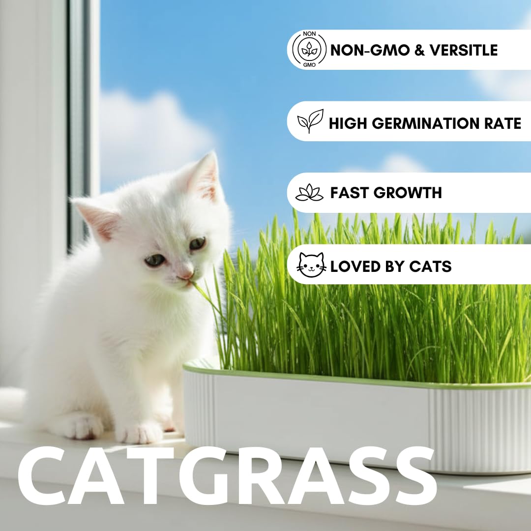 Hydroponic Cat Grass Grow Kit with 2 Oz Non-GMO Seeds I378