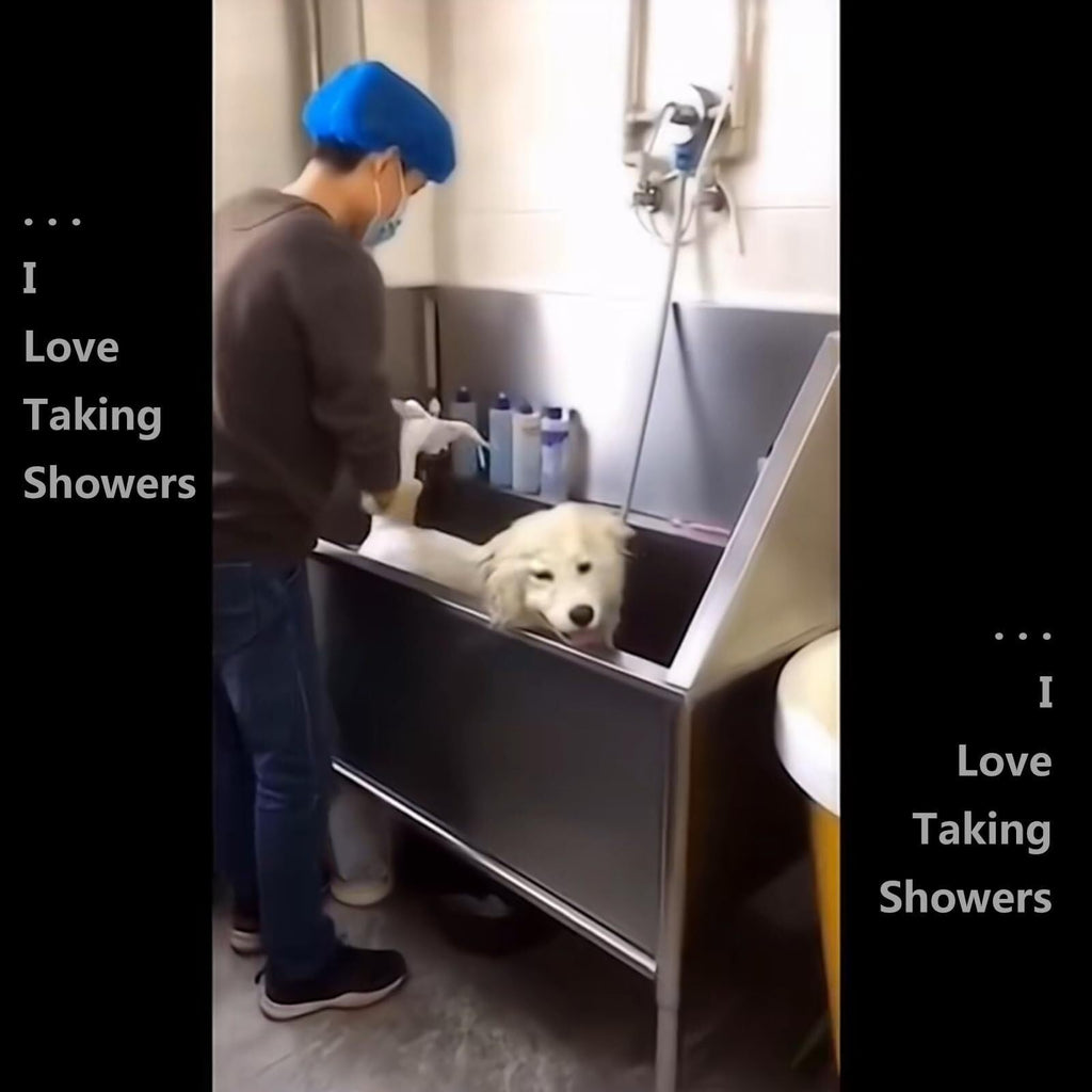 Stainless Steel Pet Grooming Bath Tub T833795