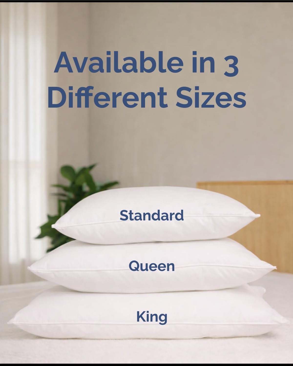 King Pillows Set of 2 A10236