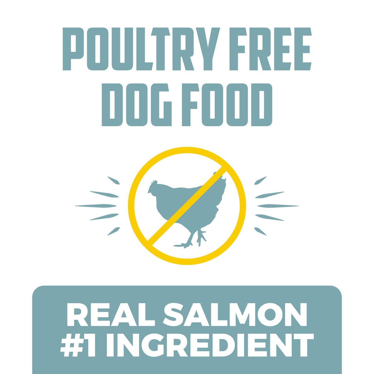 Salmon Poultry Free Dog Food, 30 lb. F8175