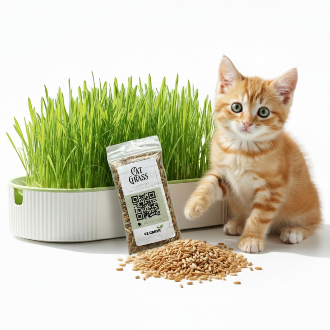 Hydroponic Cat Grass Grow Kit with 2 Oz Non-GMO Seeds I378
