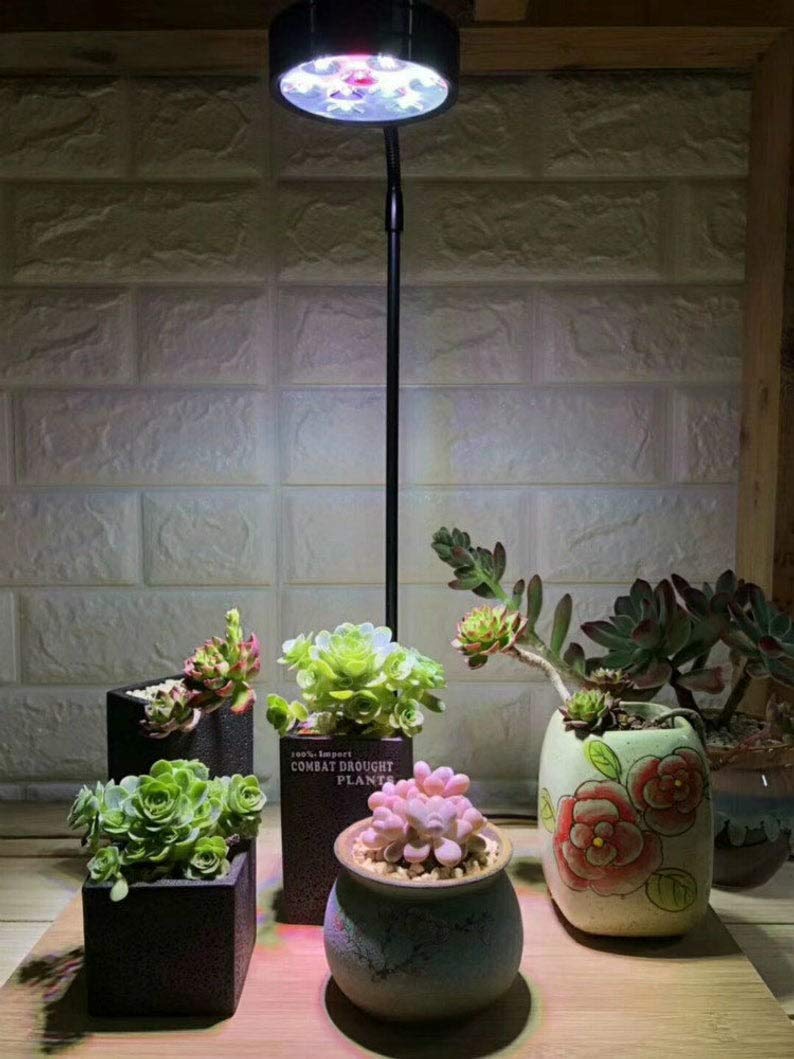 Full Spectrum LED Light with Bamboo Board 5W R431