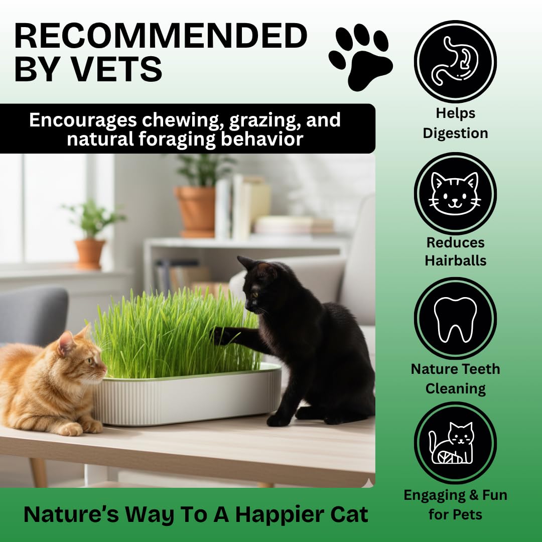 Hydroponic Cat Grass Grow Kit with 2 Oz Non-GMO Seeds I378