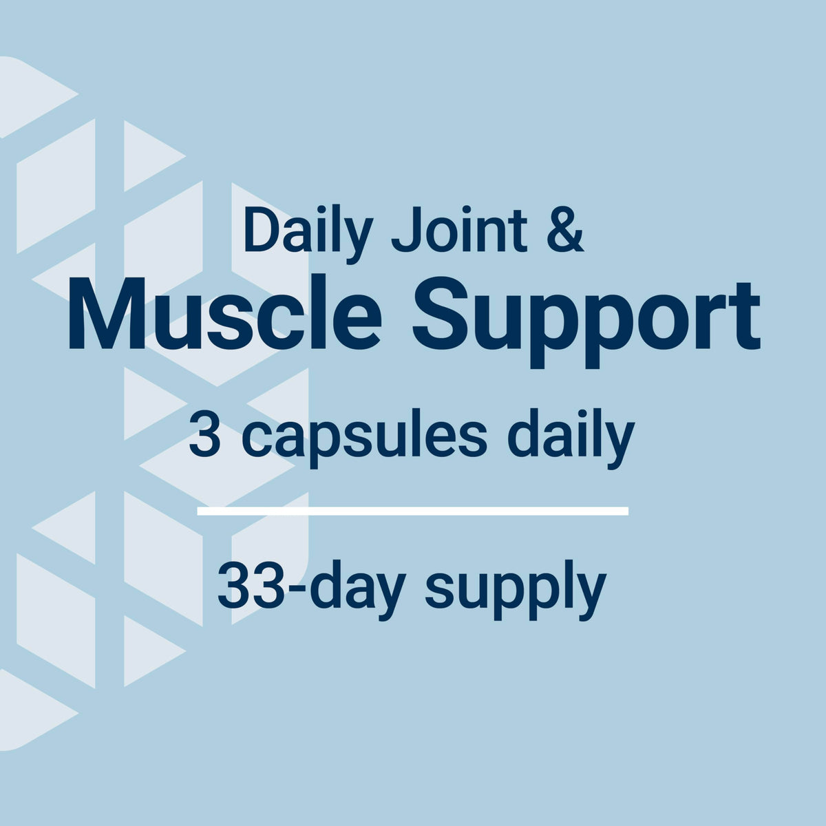 MSM 1000 mg 100 Capsules L187063