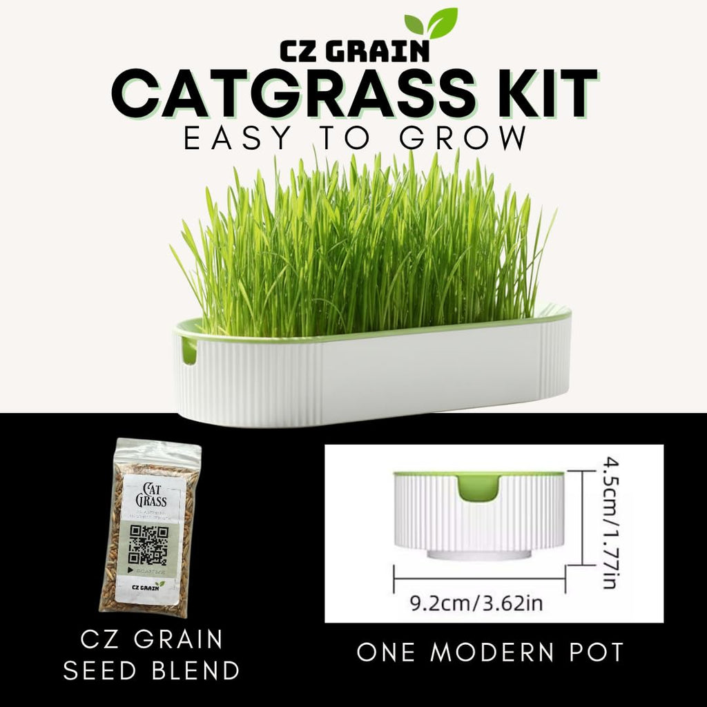 Hydroponic Cat Grass Grow Kit with 2 Oz Non-GMO Seeds I378