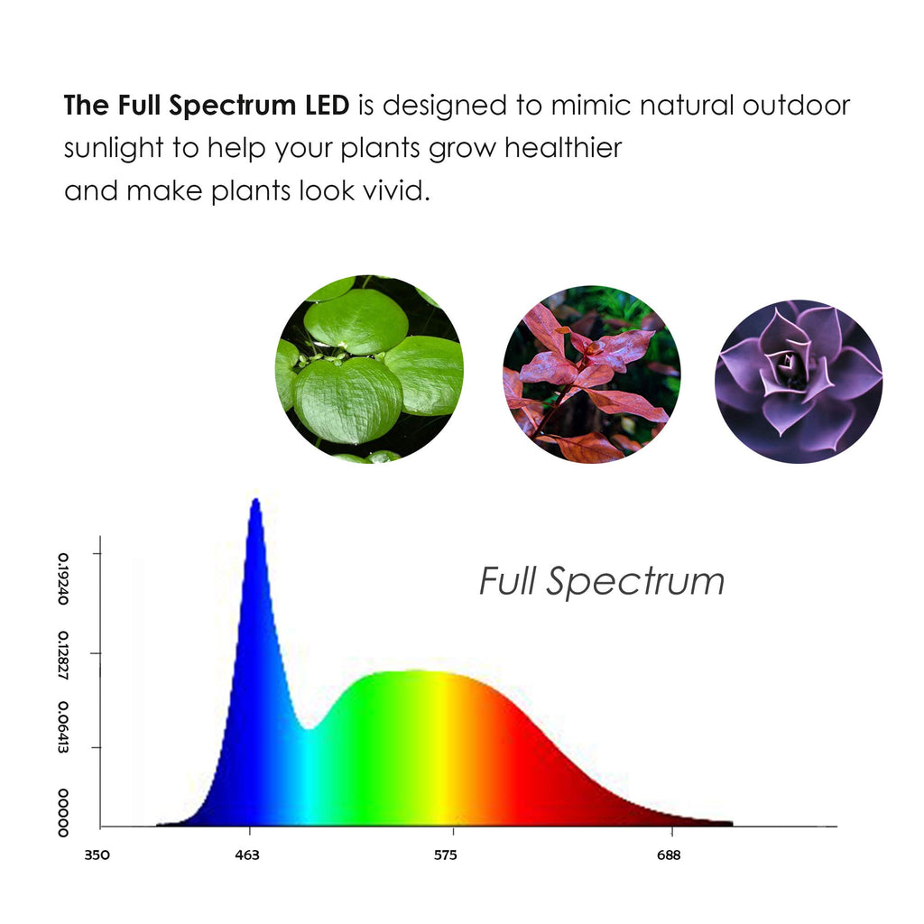 Full Spectrum LED Light with Bamboo Board 5W R431