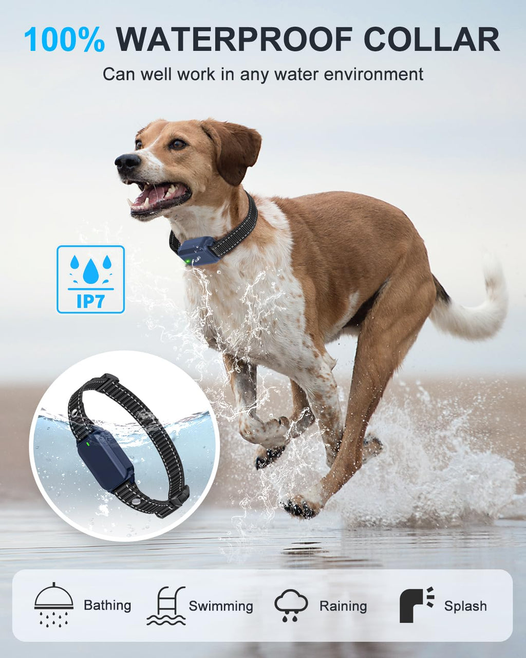 No Shock Dog Training Collar with Remote Waterproof Rechargeable Z3344