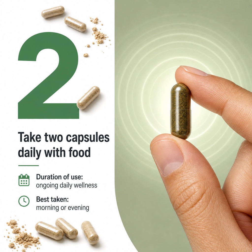 Ashwagandha 1000mg Supplement 120 Capsules P152