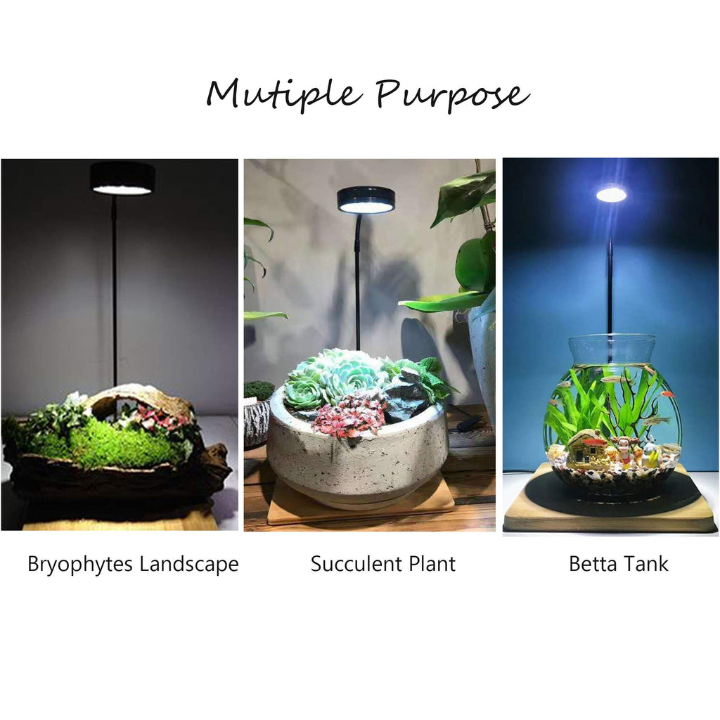 Full Spectrum LED Light with Bamboo Board 5W R431