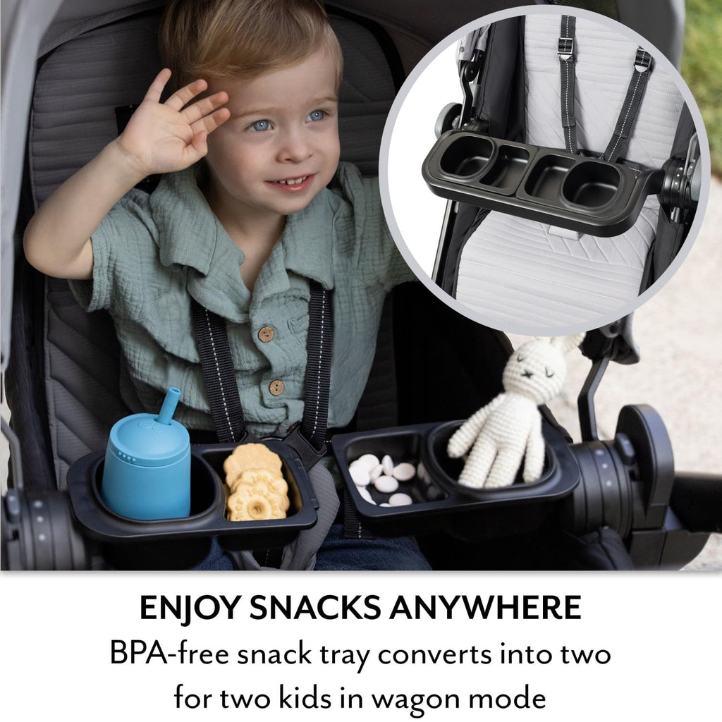 Stroller to Wagon Travel System with Car Seat D166