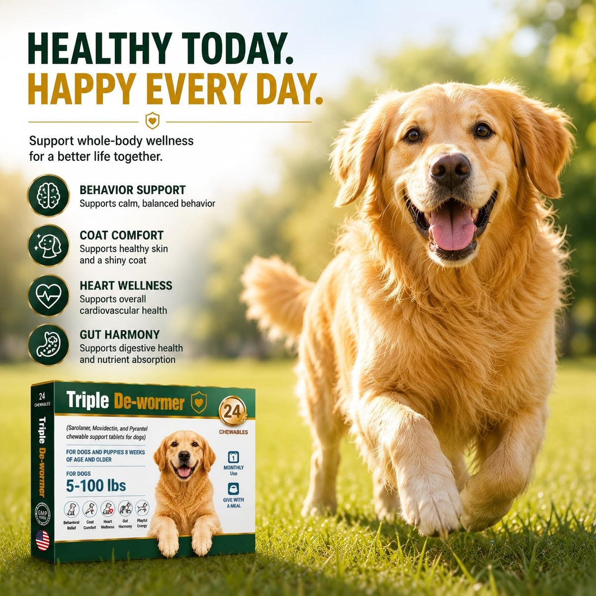 Broad Spectrum Dog Dewormer Tablets with Pyrantel Pamoate, 24 Tablets I169