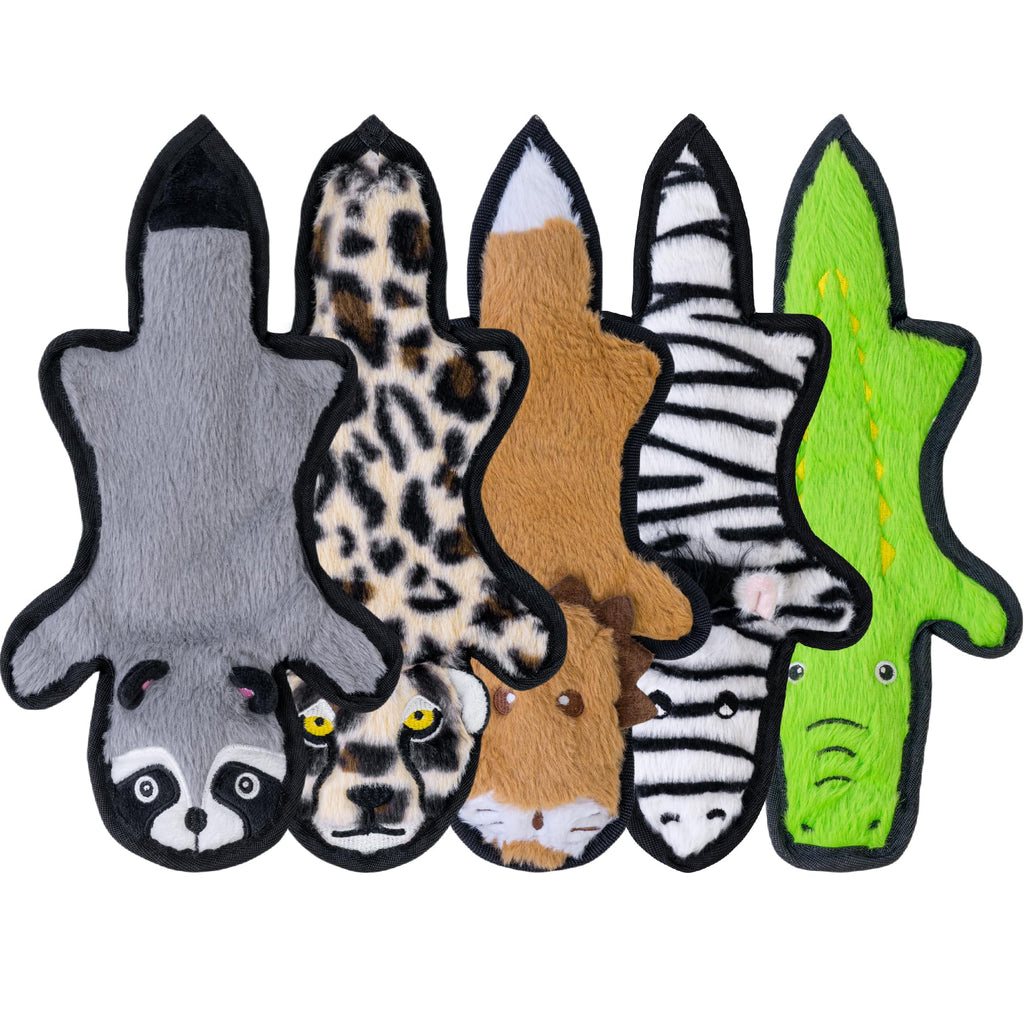 Crinkle Squeaky Plush Dog Toys 5 Pack E2981