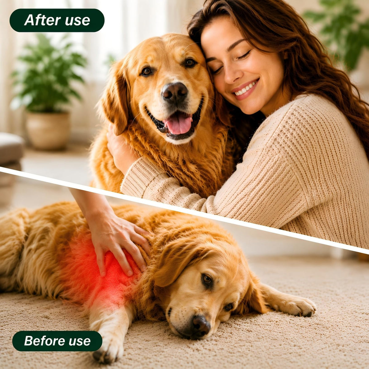 Broad Spectrum Dog Dewormer Tablets with Pyrantel Pamoate, 24 Tablets I169