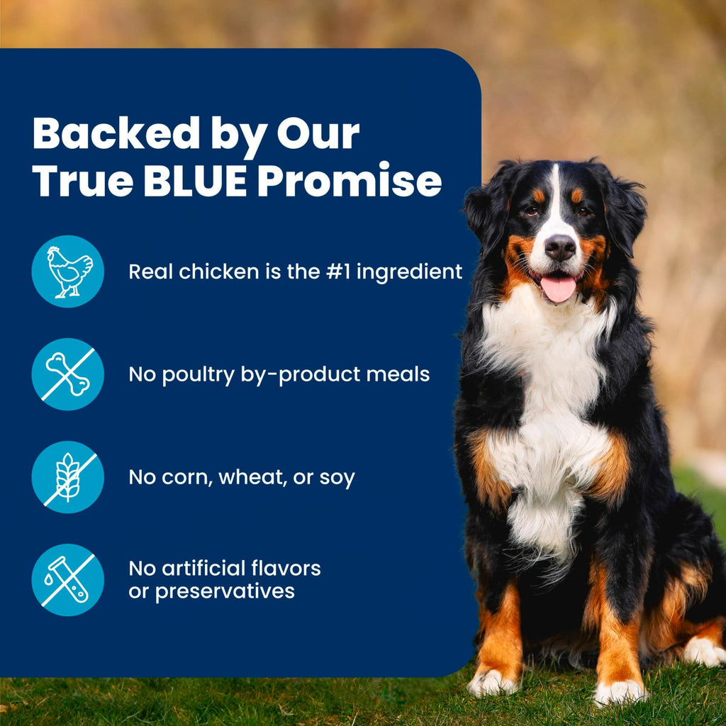 Chicken Adult Dry Dog Food 5 lb W43708