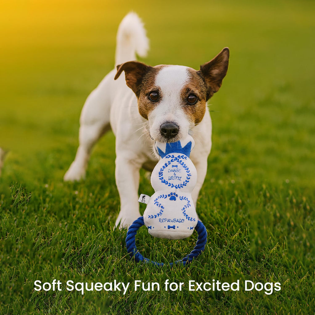 Plush Squeaky Crinkle Dog Toy J4098