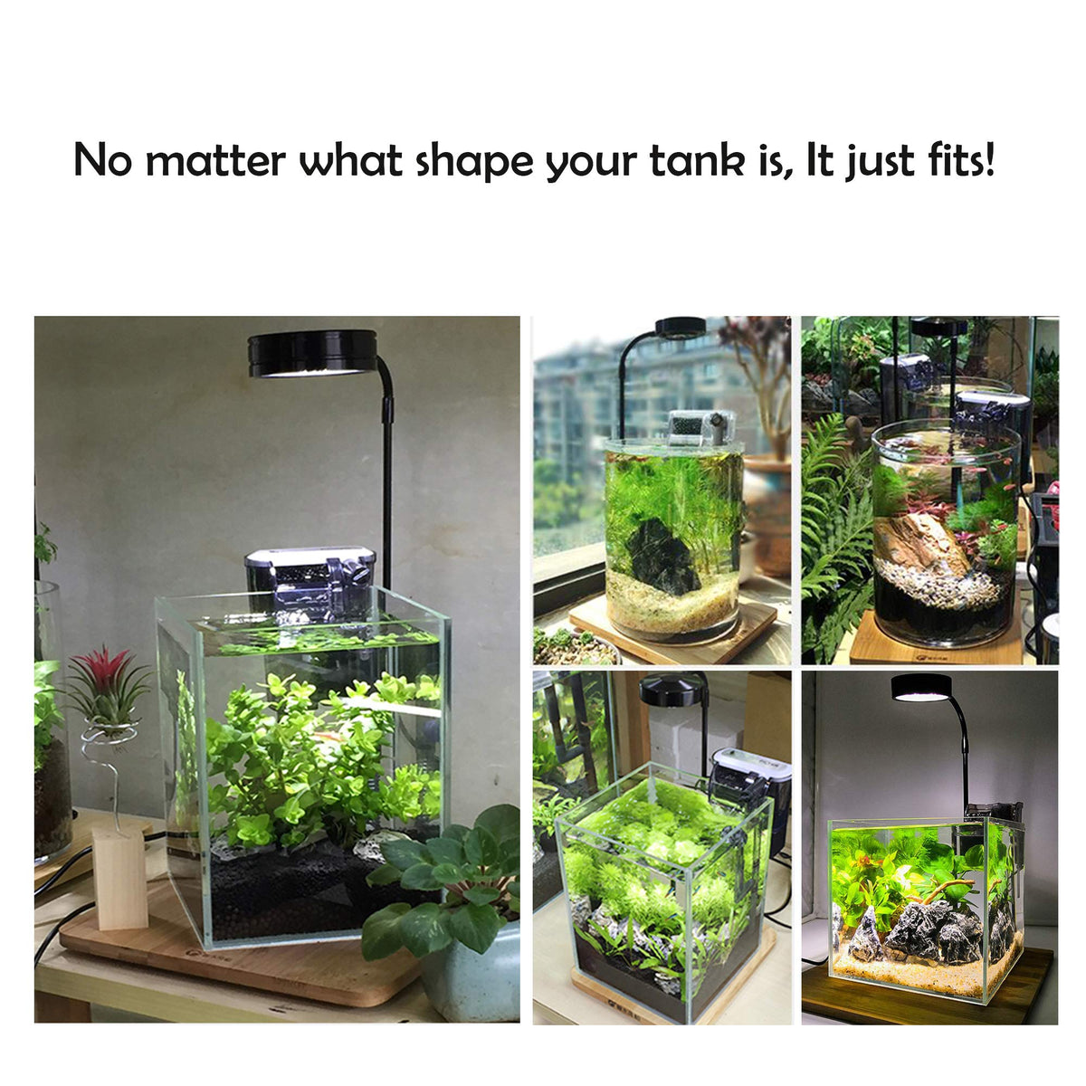 Full Spectrum LED Light with Bamboo Board 5W R431