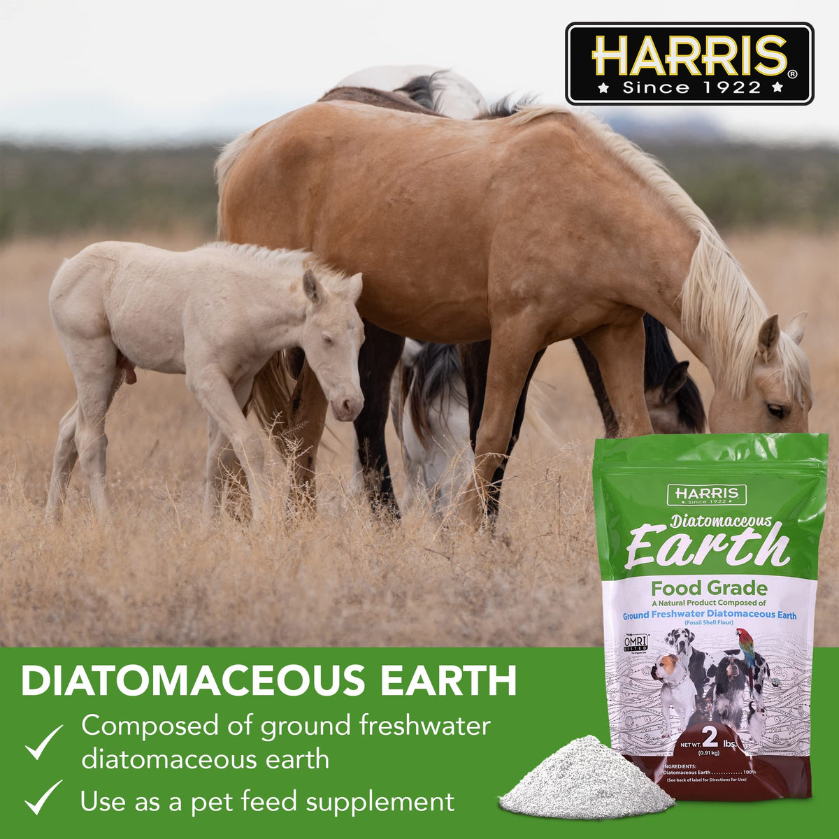 Food Grade Diatomaceous Earth 2 LB Bag U998302