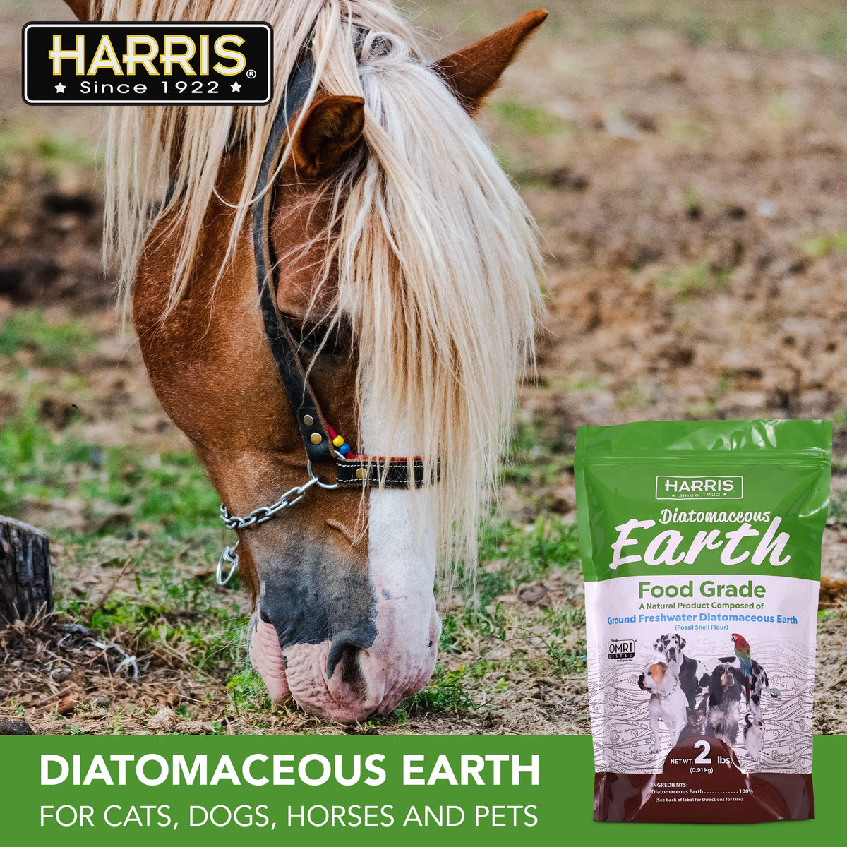 Food Grade Diatomaceous Earth 2 LB Bag U998302