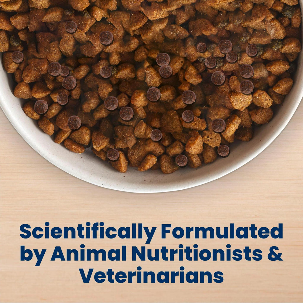 Chicken Adult Dry Dog Food 5 lb W43708