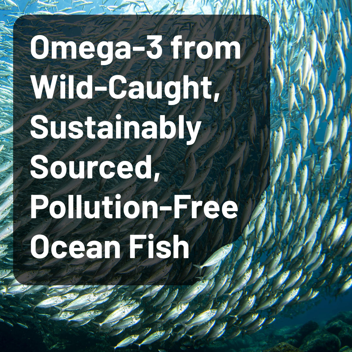 Omega 3 Fish Oil 2200 mg Lemon Flavor 60 Softgels B516